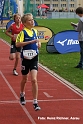 Z153 mg_final